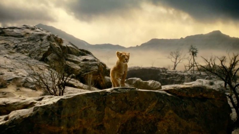 Mufasa 1.jpg Mufasa 1.jpg
